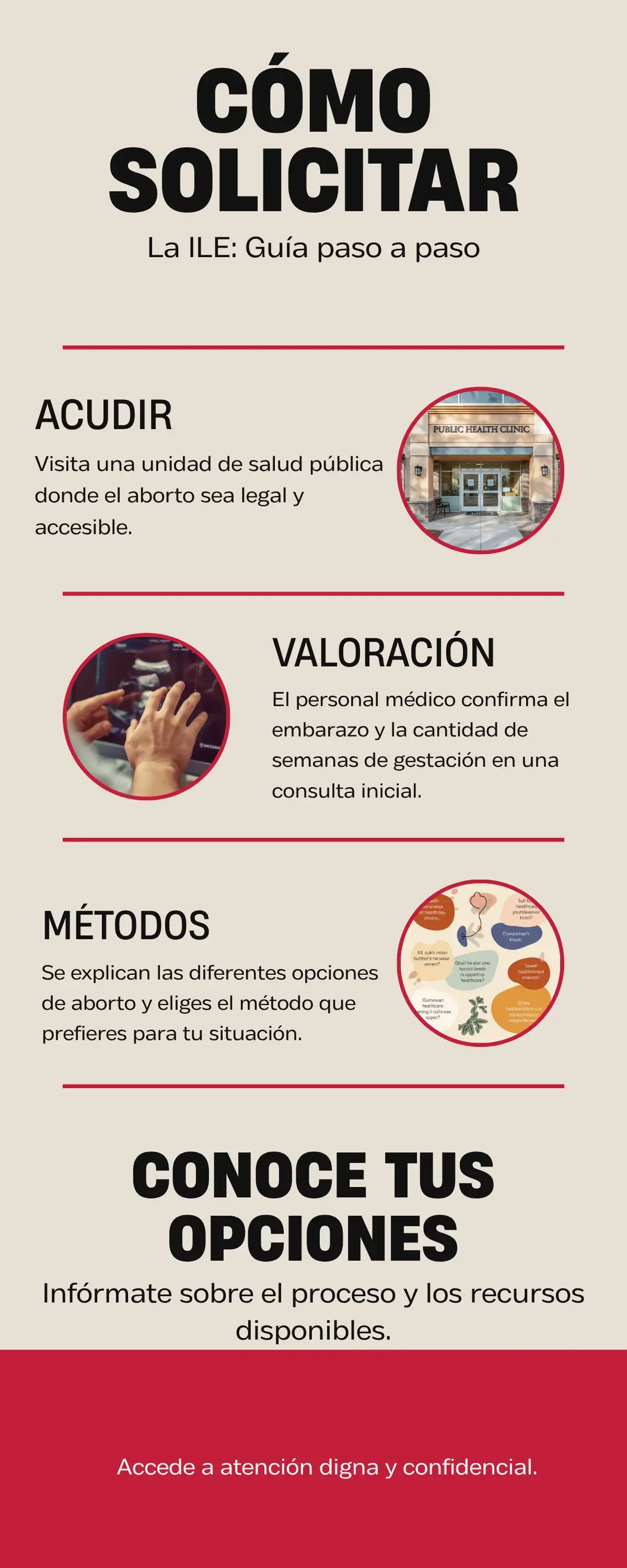 Infografía: cómo solicitar la ILE paso a paso en el sistema público